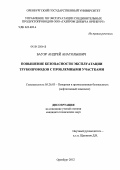 Бауэр, Андрей Анатольевич. Повышение безопасности эксплуатации трубопроводов с проблемными участками: дис. кандидат технических наук: 05.26.03 - Пожарная и промышленная безопасность (по отраслям). Оренбург. 2012. 137 с.