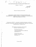 Муника, Александр Анатольевич. Повышение эффективности функционирования предприятий стройиндустрии в условиях ограниченности инвестиционных ресурсов: дис. кандидат экономических наук: 08.00.05 - Экономика и управление народным хозяйством: теория управления экономическими системами; макроэкономика; экономика, организация и управление предприятиями, отраслями, комплексами; управление инновациями; региональная экономика; логистика; экономика труда. Тольятти. 2002. 151 с.