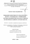 Руденко, Роман Владимирович. Повышение эффективности сельскохозяйственного производства с применением системы экономических рычагов и стимулов: на материалах хозяйств Курской области: дис. кандидат экономических наук: 08.00.05 - Экономика и управление народным хозяйством: теория управления экономическими системами; макроэкономика; экономика, организация и управление предприятиями, отраслями, комплексами; управление инновациями; региональная экономика; логистика; экономика труда. Курск. 2006. 167 с.
