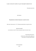 Ян Пинпин. Продвижение китайских брендов в стрим-блогинге: дис. кандидат наук: 00.00.00 - Другие cпециальности. «Санкт-Петербургский государственный университет». 2026. 190 с.
