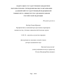 Рисберг Роман Юрьевич. Профилактика осложнений при чрескожном коронарном вмешательстве у больных ишемической болезнью сердца: дис. доктор наук: 14.01.26 - Сердечно-сосудистая хирургия. ФГБОУ ВО «Приволжский исследовательский медицинский университет» Министерства здравоохранения  Российской Федерации. 2019. 324 с.