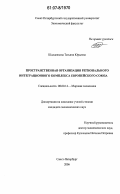 Шалденкова, Татьяна Юрьевна. Пространственная организация регионального интеграционного комплекса Европейского Союза: дис. кандидат экономических наук: 08.00.14 - Мировая экономика. Санкт-Петербург. 2006. 204 с.