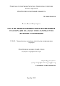 Попова Оксана Владимировна. Пространственно-временные аспекты формирования и трансформации локальных этнокультурных групп (на примере старообрядцев): дис. кандидат наук: 25.00.24 - Экономическая, социальная и политическая география. ФГАОУ ВО «Пермский государственный национальный исследовательский университет». 2021. 192 с.