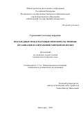 Гурковский Александр Андреевич. Прозападные международные неправительственные организации в современной мировой политике: дис. кандидат наук: 00.00.00 - Другие cпециальности. ФГБОУ ВО «Пятигорский государственный университет». 2025. 175 с.