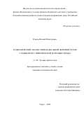 Попов Евгений Викторович. Радиомический анализ эпикардиальной жировой ткани у пациентов с ишемической болезнью сердца: дис. кандидат наук: 00.00.00 - Другие cпециальности. ФГБОУ ВО «Омский государственный технический университет». 2025. 117 с.