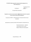 Костерин, Илья Геннадьевич. Разработка моделей и методов анализа эффективности объектов торговой сети на основе технологии бенчмаркинга: дис. кандидат экономических наук: 08.00.13 - Математические и инструментальные методы экономики. Нижний Новгород. 2009. 175 с.