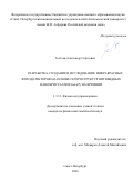 Голтаев Александр Сергеевич. Разработка, создание и исследование инфракрасных фотодетекторов на основе гетероструктур нитевидных нанокристаллов InAs(P) на кремнии: дис. кандидат наук: 00.00.00 - Другие cпециальности. «Санкт-Петербургский национальный исследовательский Академический университет имени Ж.И. Алферова Российской академии наук». 2026. 125 с.