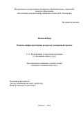 Мамедов Онур. Развитие инфраструктурных ресурсов в электронной торговле: дис. кандидат наук: 00.00.00 - Другие cпециальности. «Российский экономический университет имени Г.В. Плеханова». 2026. 163 с.