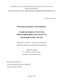 Камынин, Дмитрий Александрович. Развитие инфраструктуры инновационной деятельности экономических систем: дис. кандидат наук: 08.00.05 - Экономика и управление народным хозяйством: теория управления экономическими системами; макроэкономика; экономика, организация и управление предприятиями, отраслями, комплексами; управление инновациями; региональная экономика; логистика; экономика труда. Самара. 2018. 167 с.