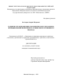 Костырев Андрей Петрович. Развитие организационно-экономического механизма промышленной политики на основе многоуровневого подхода: дис. кандидат наук: 08.00.05 - Экономика и управление народным хозяйством: теория управления экономическими системами; макроэкономика; экономика, организация и управление предприятиями, отраслями, комплексами; управление инновациями; региональная экономика; логистика; экономика труда. ФГАОУ ВО «Национальный исследовательский Нижегородский государственный университет им. Н.И. Лобачевского». 2022. 228 с.