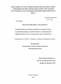 Моисеенко, Маргарита Александровна. Развитие программно-целевого бюджетного планирования как инструмента повышения эффективности расходов местного бюджета: дис. кандидат наук: 08.00.10 - Финансы, денежное обращение и кредит. Ростов-на-Дону. 2013. 177 с.