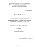Мамкина, Инна Николаевна. Развитие системы общего образования в Восточной Сибири в условиях модернизации во второй половине XIX – начале ХХ вв.: дис. кандидат наук: 07.00.02 - Отечественная история. Иркутск. 2017. 482 с.