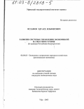 Исланов, Эдуард Ильфирович. Развитие системы управления экономикой на местном уровне: На примере Республики Башкортостан: дис. кандидат экономических наук: 08.00.05 - Экономика и управление народным хозяйством: теория управления экономическими системами; макроэкономика; экономика, организация и управление предприятиями, отраслями, комплексами; управление инновациями; региональная экономика; логистика; экономика труда. Уфа. 2003. 184 с.