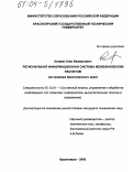 Холкин, Олег Валерьевич. Региональная информационная система межбанковских расчетов: На примере Красноярского края: дис. кандидат технических наук: 05.13.01 - Системный анализ, управление и обработка информации (по отраслям). Красноярск. 2003. 160 с.