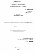 Ефимов, Петр Геннадьевич. Род Platanthera Rich.(Orchidaceae Juss.) и близкие роды во флоре России: дис. кандидат биологических наук: 03.00.05 - Ботаника. Санкт-Петербург. 2007. 234 с.