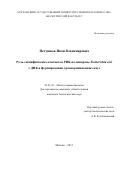 Петушков, Иван Владимирович. Роль специфических контактов РНК-полимеразы Escherichia coli с ДНК в формировании транскрипционных пауз: дис. кандидат наук: 03.01.03 - Молекулярная биология. Москва. 2017. 142 с.