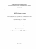 Дидук, Сергей Васильевич. Роль точечных мутаций CTAR-доменов гена LMP1 вируса Эпштейна-Барр в модификации сигнальных путей клетки: дис. кандидат биологических наук: 14.00.14 - Онкология. Москва. 2008. 116 с.
