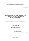 Селезнева Алёна Сергеевна. Самозанятые как социально-трудовая группа в структуре российского общества: экосистемный подход: дис. кандидат наук: 00.00.00 - Другие cпециальности. «Российский университет дружбы народов имени Патриса Лумумбы». 2026. 188 с.