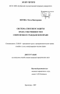 Дипломная работа: Защита права собственности