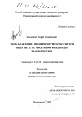 Вельмицкий, Андрей Владимирович. Социальная защита в модернизируемом российском обществе: Пути эффективной координации взаимодействия: дис. кандидат социологических наук: 22.00.08 - Социология управления. Новочеркасск. 2000. 196 с.
