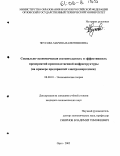 Чеусова, Марина Валентиновна. Социально-экономическая состоятельность и эффективность предприятий производственной инфраструктуры: На примере предприятий электроэнергетики: дис. кандидат экономических наук: 08.00.01 - Экономическая теория. Орел. 2005. 211 с.