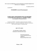 Паньшин, Алексей Владимирович. Социально-экономическое положение сельской молодежи в условиях рынка: на материалах Липецкой области: дис. кандидат экономических наук: 08.00.05 - Экономика и управление народным хозяйством: теория управления экономическими системами; макроэкономика; экономика, организация и управление предприятиями, отраслями, комплексами; управление инновациями; региональная экономика; логистика; экономика труда. Москва. 2009. 201 с.