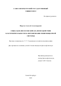 Пирогов Алексей Александрович. Социально-философский анализ воздействия благотворительности на формирование пенитенциарной системы: дис. кандидат наук: 00.00.00 - Другие cпециальности. ФГБОУ ВО «Санкт-Петербургский государственный университет». 2022. 392 с.