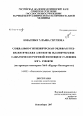 Коваленко, Татьяна Сергеевна. "Социально-гигиеническая оценка и технологические элементы планирования санитарно-курортной помощи в условиях юга Сибири (на примере санаториев ЗАО ""Курорт Белокуриха"")": дис. кандидат медицинских наук: 14.00.33 - Общественное здоровье и здравоохранение. . 0. 192 с.