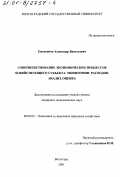 Емельянов, Александр Васильевич. Совершенствование экономических процессов хозяйствующего субъекта: Мониторинг расходов, анализ, оценка: дис. кандидат экономических наук: 08.00.05 - Экономика и управление народным хозяйством: теория управления экономическими системами; макроэкономика; экономика, организация и управление предприятиями, отраслями, комплексами; управление инновациями; региональная экономика; логистика; экономика труда. Волгоград. 2001. 217 с.