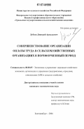 Лубков, Дмитрий Аркадьевич. Совершенствование организации оплаты труда в сельскохозяйственных организациях в пореформенный период: дис. кандидат экономических наук: 08.00.05 - Экономика и управление народным хозяйством: теория управления экономическими системами; макроэкономика; экономика, организация и управление предприятиями, отраслями, комплексами; управление инновациями; региональная экономика; логистика; экономика труда. Екатеринбург. 2006. 187 с.