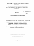 Пшеничников, Илья Викторович. Совершенствование организационной структуры управления агропромышленного холдинга на основе функционального подхода: дис. кандидат экономических наук: 08.00.05 - Экономика и управление народным хозяйством: теория управления экономическими системами; макроэкономика; экономика, организация и управление предприятиями, отраслями, комплексами; управление инновациями; региональная экономика; логистика; экономика труда. Волгоград. 2009. 175 с.