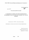 Ермаков, Владимир Васильевич. Становление и развитие торгово-промышленного предпринимательства в Прикамье в конце XVIII - начале XX веков: дис. кандидат наук: 07.00.02 - Отечественная история. Казань. 2014. 585 с.