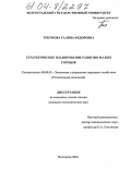 Токунова, Галина Федоровна. Стратегическое планирование развития малых городов: дис. кандидат экономических наук: 08.00.05 - Экономика и управление народным хозяйством: теория управления экономическими системами; макроэкономика; экономика, организация и управление предприятиями, отраслями, комплексами; управление инновациями; региональная экономика; логистика; экономика труда. Волгоград. 2004. 156 с.