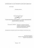 Боев, Алексей Геннадьевич. Стратегия развития предприятия в условиях формирования промышленных кластеров: дис. кандидат экономических наук: 08.00.05 - Экономика и управление народным хозяйством: теория управления экономическими системами; макроэкономика; экономика, организация и управление предприятиями, отраслями, комплексами; управление инновациями; региональная экономика; логистика; экономика труда. Воронеж. 2011. 238 с.