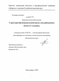 Воронина, Елена Николаевна. Структурно-функциональный анализ гена рибосомного белка L11 человека: дис. кандидат биологических наук: 03.00.03 - Молекулярная биология. Новосибирск. 2009. 103 с.