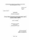 Черкашин, Евгений Александрович. Структурно-генетическая организация лакказ базидиальных грибов: дис. кандидат химических наук: 03.00.04 - Биохимия. Москва. 2009. 117 с.