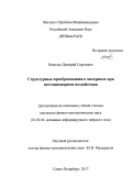 Вавилов, Дмитрий Сергеевич. Структурные преобразования в материале при нестационарном воздействии: дис. кандидат наук: 01.02.04 - Механика деформируемого твердого тела. Санкт-Петербург. 2017. 130 с.