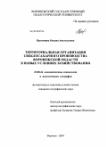 Кретинина, Оксана Анатольевна. Территориальная организация свеклосахарного производства Воронежской области в новых условиях хозяйствования: дис. кандидат географических наук: 25.00.24 - Экономическая, социальная и политическая география. Воронеж. 2009. 203 с.