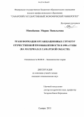 Михейкина, Мария Васильевна. Трансформация организационных структур отечественной промышленности в 1990-е годы: на материалах Самарской области: дис. кандидат наук: 08.00.01 - Экономическая теория. Самара. 2013. 187 с.