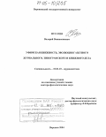 Пугачев, Валерий Вениаминович. Уфимская книжность. Эволюция газетного, журнального, типографского и книжного дела: дис. доктор филологических наук: 10.01.10 - Журналистика. Воронеж. 2004. 278 с.