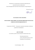 Васильева Елена Юрьевна. Управление эффективностью инновационных проектов в химической промышленности: дис. кандидат наук: 08.00.05 - Экономика и управление народным хозяйством: теория управления экономическими системами; макроэкономика; экономика, организация и управление предприятиями, отраслями, комплексами; управление инновациями; региональная экономика; логистика; экономика труда. ФГАОУ ВО «Санкт-Петербургский политехнический университет Петра Великого». 2020. 229 с.