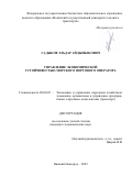 Садыков Эльдар Айдынбекович. Управление экономической устойчивостью морского портового оператора: дис. кандидат наук: 08.00.05 - Экономика и управление народным хозяйством: теория управления экономическими системами; макроэкономика; экономика, организация и управление предприятиями, отраслями, комплексами; управление инновациями; региональная экономика; логистика; экономика труда. ФГБОУ ВО «Волжский государственный университет водного транспорта». 2022. 161 с.