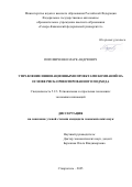 Поповиченко Марк Андреевич. Управление инновационными проектами компаний на основе риск-ориентированного подхода: дис. кандидат наук: 00.00.00 - Другие cпециальности. ФГАОУ ВО «Северо-Кавказский федеральный университет». 2025. 201 с.