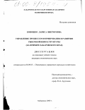 Коношко, Лариса Викторовна. Управление процессом формирования и развития рыночной инфраструктуры: На примере Хабаровского края: дис. кандидат экономических наук: 08.00.05 - Экономика и управление народным хозяйством: теория управления экономическими системами; макроэкономика; экономика, организация и управление предприятиями, отраслями, комплексами; управление инновациями; региональная экономика; логистика; экономика труда. Хабаровск. 2000. 195 с.