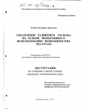 Мазина, Екатерина Борисовна. Управление развитием региона на основе эффективного использования экономических ресурсов: дис. кандидат экономических наук: 08.00.05 - Экономика и управление народным хозяйством: теория управления экономическими системами; макроэкономика; экономика, организация и управление предприятиями, отраслями, комплексами; управление инновациями; региональная экономика; логистика; экономика труда. Нижний Новгород. 2001. 238 с.