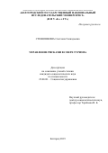 Стенюшкина, Светлана Геннадьевна. Управление рисками в сфере туризма: дис. кандидат наук: 22.00.08 - Социология управления. Белгород. 2019. 155 с.