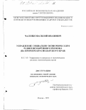 Чаленко, Василий Иванович. Управление социально-экономическим развитием крупного региона: На примере Краснодарского края: дис. кандидат экономических наук: 05.13.10 - Управление в социальных и экономических системах. Москва. 1999. 176 с.
