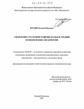 Бурдин, Евгений Юрьевич. Управление стратегией развития малых и средних промышленных предприятий: дис. кандидат экономических наук: 08.00.05 - Экономика и управление народным хозяйством: теория управления экономическими системами; макроэкономика; экономика, организация и управление предприятиями, отраслями, комплексами; управление инновациями; региональная экономика; логистика; экономика труда. Нижний Новгород. 2003. 171 с.