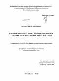Богатко, Татьяна Викторовна. Влияние отрывных зон на вихреобразование и турбулентный теплообмен в круглой трубе: дис. кандидат наук: 01.04.14 - Теплофизика и теоретическая теплотехника. Новосибирск. 2013. 170 с.
