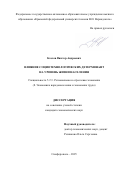 Козлов Виктор Андреевич. Влияние социотехнологических детерминант на уровень жизни населения: дис. кандидат наук: 00.00.00 - Другие cпециальности. ФГАОУ ВО «Крымский федеральный университет имени В.И. Вернадского». 2025. 206 с.